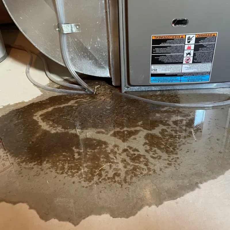 Pipe Burst and Leak Restoration in West Brookfield, MA