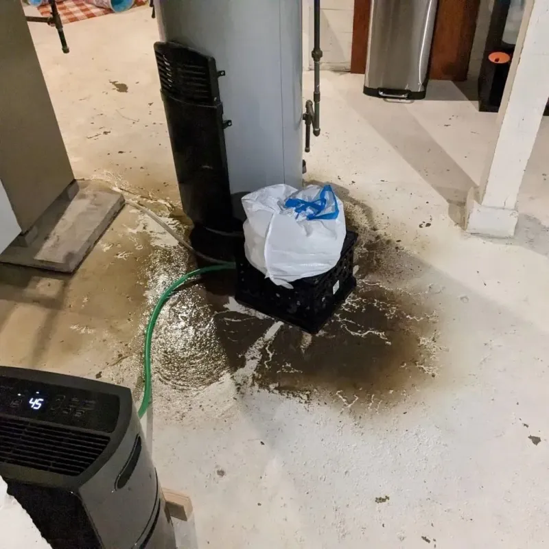 Sewage Backup Cleanup Service in West Brookfield, MA